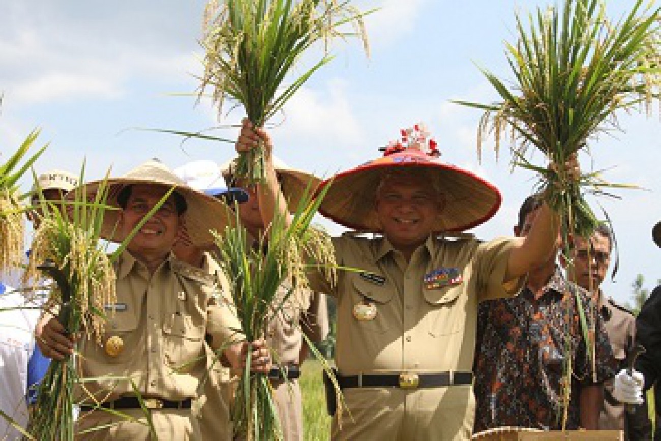 Bangkitkan Optimisme Petani Menuju Ketahanan Pangan